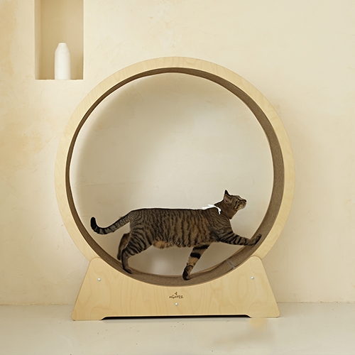 머든제작소]편백 무소음 캣휠